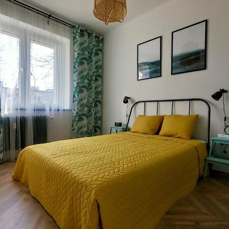 Przytulny Apartament Przy Sokolskiej - 550 Metrow Od Spodka Katowice Exteriör bild