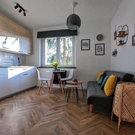 Przytulny Apartament Przy Sokolskiej - 550 Metrow Od Spodka Katowice Exteriör bild