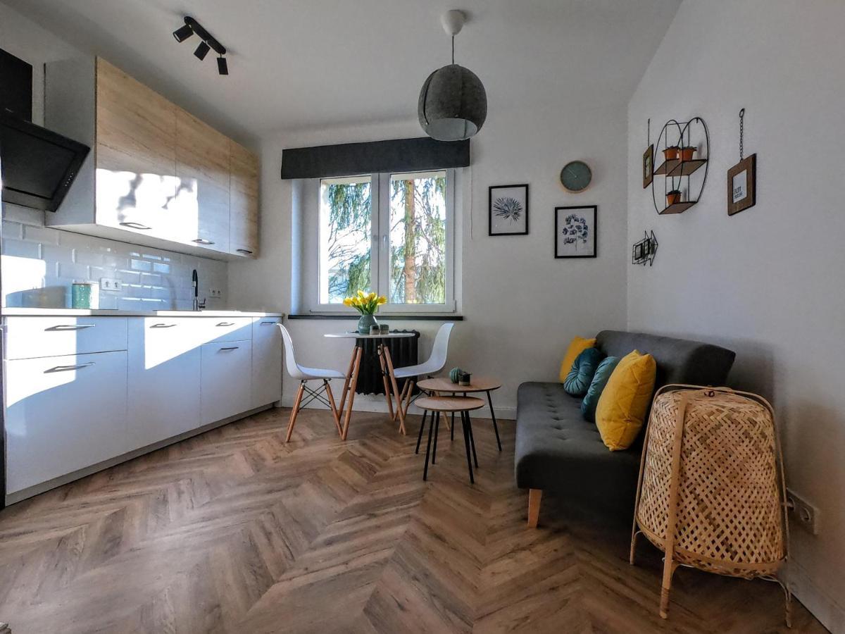 Przytulny Apartament Przy Sokolskiej - 550 Metrow Od Spodka Katowice Exteriör bild