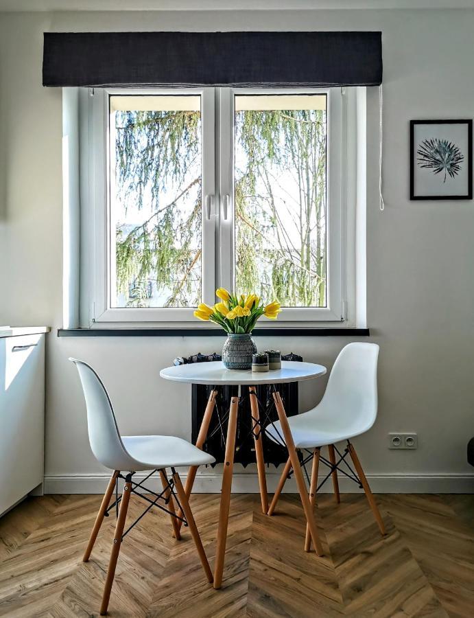 Przytulny Apartament Przy Sokolskiej - 550 Metrow Od Spodka Katowice Exteriör bild